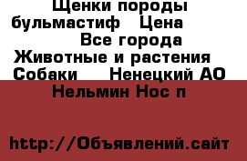 Щенки породы бульмастиф › Цена ­ 25 000 - Все города Животные и растения » Собаки   . Ненецкий АО,Нельмин Нос п.